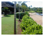 Visit Hale Luana