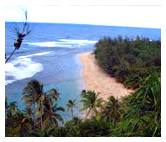 Kiahuna Nearby Activities