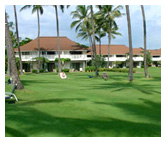 Kiahuna Beach View